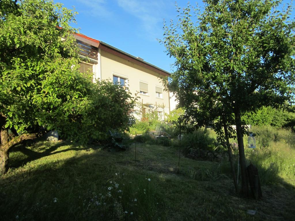 Bnb Moenthal Im Jurapark Extérieur photo